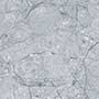 PLAIN GREY MT Ceramic Tiles