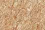 SEPIA DARK Ceramic Tiles