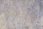 SYLVAN STALK DARK GL Ceramic Tiles