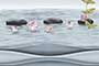 WATER AVES HL1 GL Ceramic Tiles