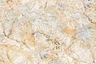 Breccia Gold Glazed Vitrified Tiles