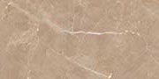 BRUSSELS BROWN VPOL Vitrified Tiles