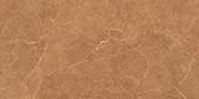 CELESTE BROWN VPOL Vitrified Tiles