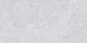 CELESTE LT GREY VPOL Vitrified Tiles