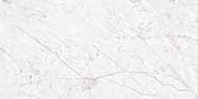 CHAMPION ASH Glazed Vitrified Tiles