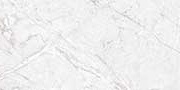 CHAMPION ASH Glazed Vitrified Tiles