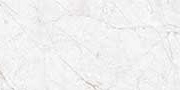CHAMPION ASH Glazed Vitrified Tiles