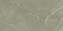 CLOVER OLIVE Glazed Vitrified Tiles
