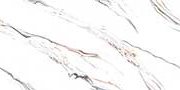 Embellish Lion Glazed Vitrified Tiles