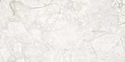 EVOQUE WHITE Glazed Vitrified Tiles