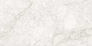 EVOQUE WHITE Glazed Vitrified Tiles