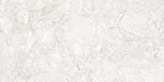 EVOQUE WHITE Glazed Vitrified Tiles