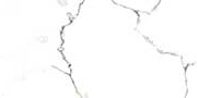 GEORGIA WHITE Glazed Vitrified Tiles