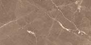 LAGOS BROWN VPOL Vitrified Tiles