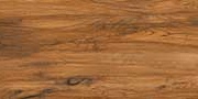 LANKAN WOOD Glazed Vitrified Tiles