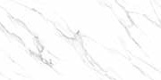 MYRON STATURIO VPOL Vitrified Tiles