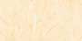 OPERA CREMA Glazed Vitrified Tiles