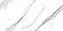 PAROLO STATUARI PO REC Vitrified Tiles