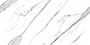 PAROLO STATUARI PO REC Vitrified Tiles