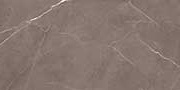 RARE BRONZ VPOL Vitrified Tiles