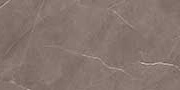 RARE BRONZ VPOL Vitrified Tiles