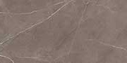 RARE BRONZ VPOL Vitrified Tiles