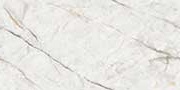 Selva Grey Glazed Vitrified Tiles