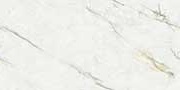 Selva Green Glazed Vitrified Tiles