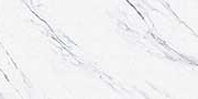 STATURIO AQUA Glazed Vitrified Tiles