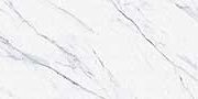 STATURIO AQUA Glazed Vitrified Tiles