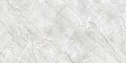 Trend Light Grey Glazed Vitrified Tiles