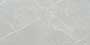 TROUT LUSH CAREC Vitrified Tiles