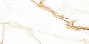 VEIN GOLD VPOL Vitrified Tiles