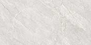 WILLIS ASH VPOL Vitrified Tiles