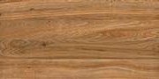 DEODAR CEDAR Vitrified Tiles