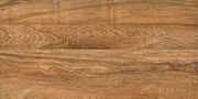 DEODAR CEDAR Vitrified Tiles