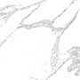 ALBAMA BIANCO MT REC Vitrified Tiles