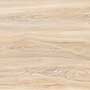 ARBEE LT VMT Vitrified Tiles
