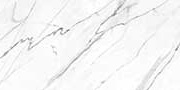 ARIS STATURIO Vitrified Tiles
