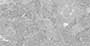 CANFA DK GL REC-P Ceramic Tiles