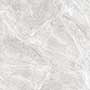 CARASS SILVER Vitrified Tiles