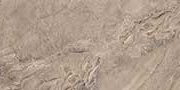 CUESTA MOCHA Vitrified Tiles