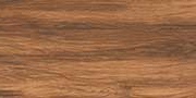 EDISS WOOD Vitrified tiles Tiles