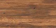 EDISS WOOD Vitrified tiles Tiles
