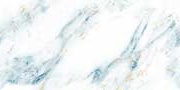 FIRMIN BLISS ANANT Vitrified Tiles