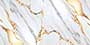 GOLDEN RIYON VHG Vitrified Tiles