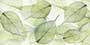 GREEN LEAF PDR GVT Tiles