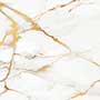 LEGEND GOLD PSL Vitrified Tiles