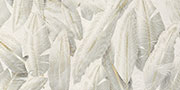 PLUNKIN DECOR Vitrified Tiles