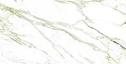 RANDERS MINT Vitrified Tiles